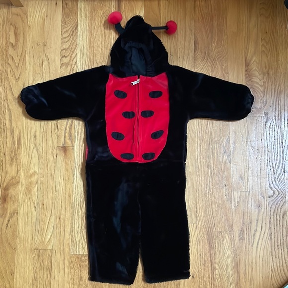 Lady bug costume - Picture 1 of 2